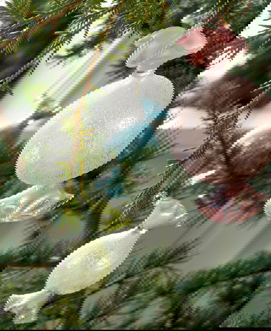 S_XMACAYLBOB1906_4