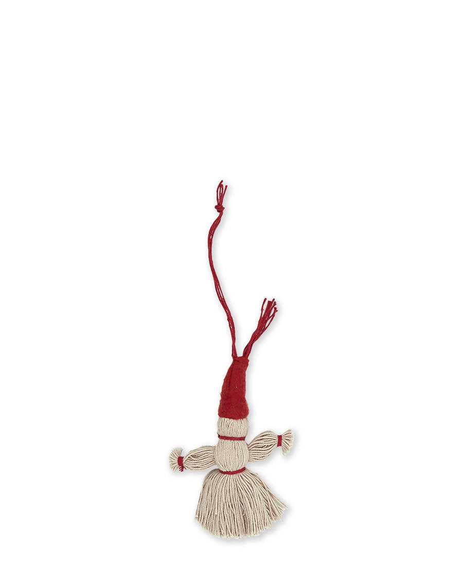 S_XMAORNIPIX8104_2