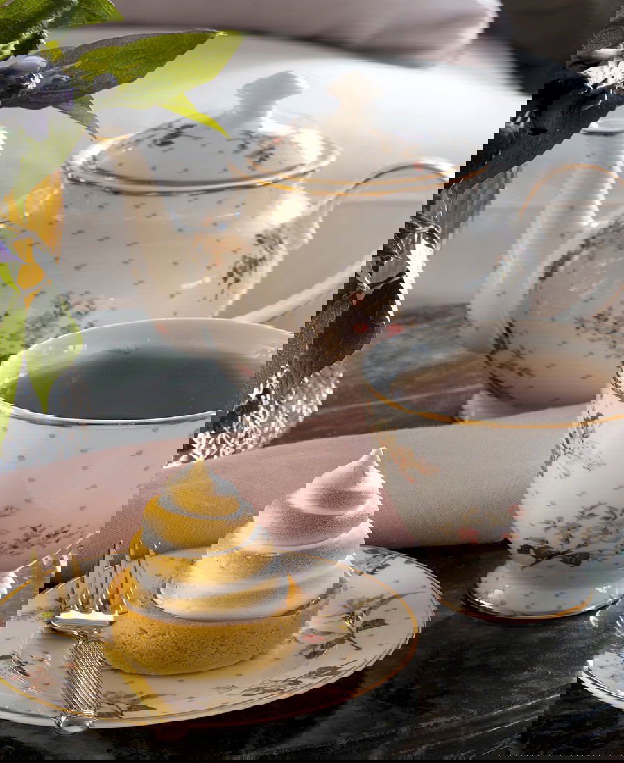 S_STECAF4P6006_2